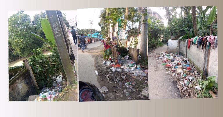 গৌরনদীতে ময়লার ডাস্টবিন হয় রাস্তা।