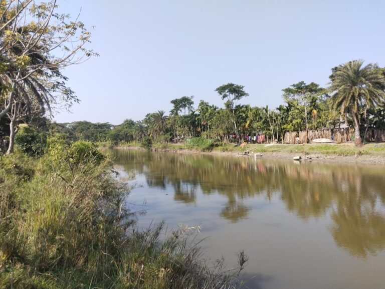 মেহেন্দিগঞ্জে প্রকাশ্যে ঘেরেরমাছ লুটের অভিযোগ